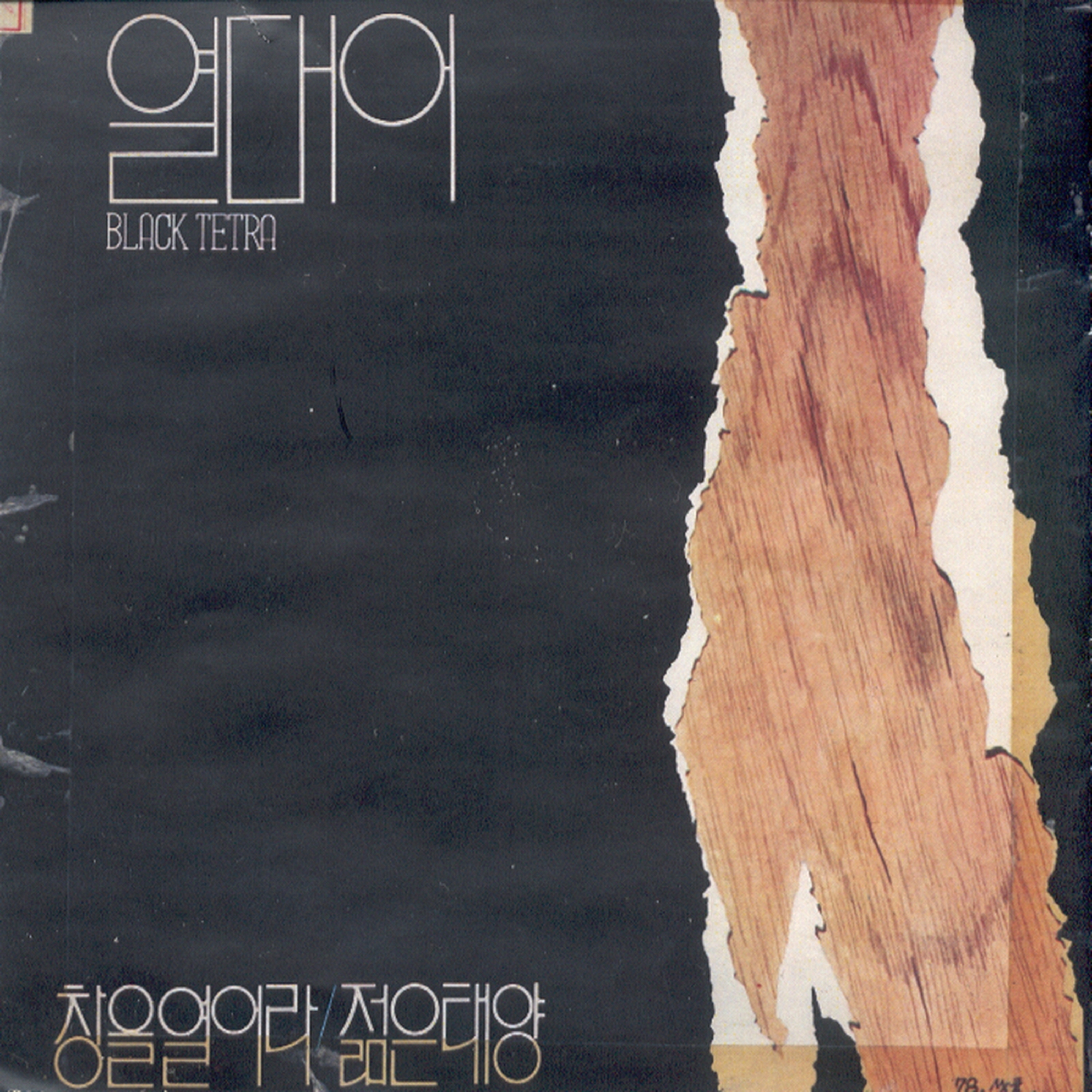 Image Cover